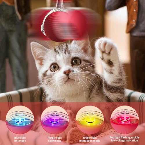 2PCS Electric Interactive Rolling Ball Speedy Tail Cat Toy 360° Smart Automatic Rolling Pet Ball Cat Dog Toy, Moving Cat Ball with Tail, Fast Roling Dog Toys for Small Dogs Two Speed Adjustment - Image 3