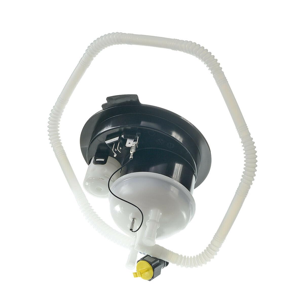 Amazon.com: HoshiSaku Front & Rear Fuel Filter Pump Compatible 