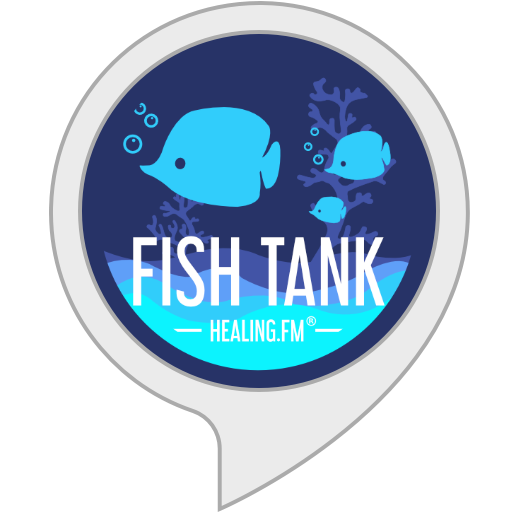 10 Best 10 Fish For Tank Reviews In 2021 of 2022