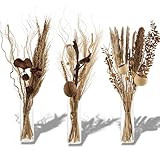 Aura Maison Flores Secas Decoracion, Ramas Decorativas para Jarrones Decorativos Modernos para Home Decoration