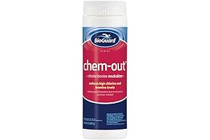 BioGuard's Chem Out: Safeguarding Your Pool from Chemical Imbalances