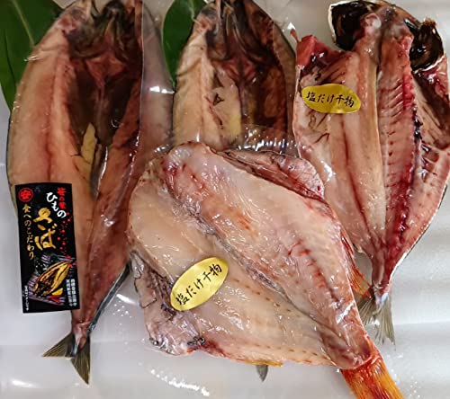 I励 4Zbgi̗t  傳2A卑Y1ԋ 1jsⓀt