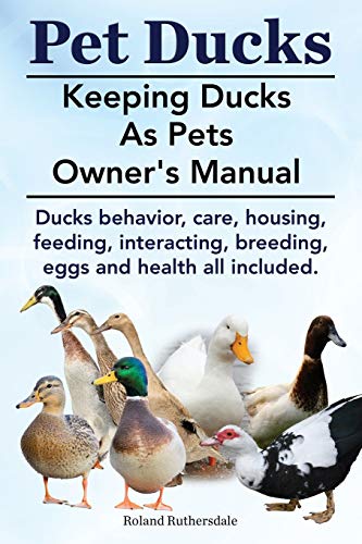 Pet Ducks. Keeping Ducks as Pets Owner