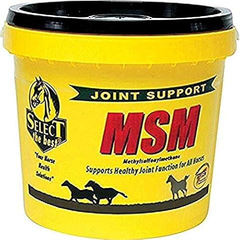 RICHDEL 784299402003 Msm Powder Joint Support for Horses, 20 lb Cover