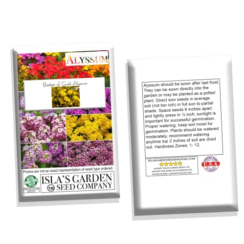"Basket Of Gold" Alyssum Flower Seeds For Planting, 500+ Seeds Per Packet, (Isla's Garden Seeds), Botanical Name: Lobularia Maritima, Great Home Flower Garden Gift #TOP7