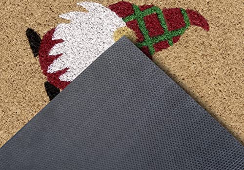Hanse Home Fußmatte Weihnachten Kokos 45x70cm – rutschfeste Schmutzfangmatte Natur für Innen, Fußabtreter Welcome Wichtel Kokosmatte für Eingangsbereich & überdachten Außenbereich