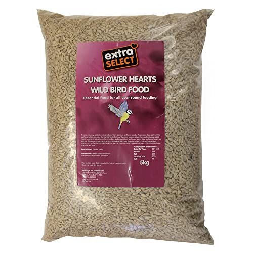 Extra Select Sunflower Hearts Bird Food - Husk-Free Oil Rich High Energy Wild Bird Seed for Year Round Feeding - 5 kg