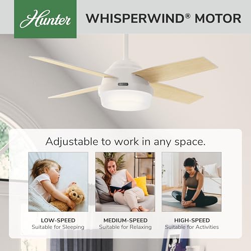 Image of Hunter Dempsey, Indoor, Ceiling Fan, Modern, 4 Blades, 44 inch, Fresh White