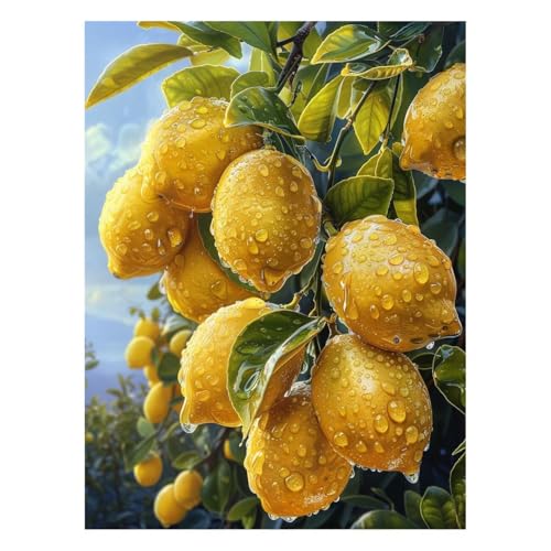 G  G |Lbg yCgoCio[ i Lbg  ANG̋ M LoX 60 x 80cm EH[A[g  LoXGpLrO[Q̉Ƃ̑ Ǐ Mtg JLYH-1901