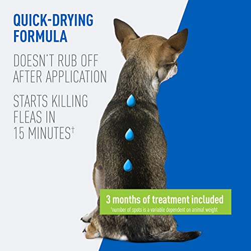 Adams Plus Flea  Tick Prevention Spot on for Dogs 514 Pounds 12 Weeks  Older 3month Supply Kills Fleas Flea Eggs Flea Larvae Brown Dog  Deer Ticks Kills and Repels Mosquitoes for 30 Days  Cucciolini Doodles Adams plus flea  tick prevention spot on for dogs 5 14 pounds 12 weeks  older 3 month supply kills fleas flea eggs flea larvae brown dog  deer ticks kills and repels mosquitoes for 30 days   cucciolini doodles