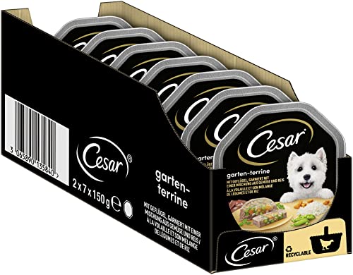Cesar Dog Food Wet Food Garden Variety with Poultry, Vegetables and Rice, 14 Bowls (14 x 150 g) Cesar Dog Food Wet Food Garden Variety with Poultry, Vegetables and Rice, 14 Bowls (14 x 150 g)