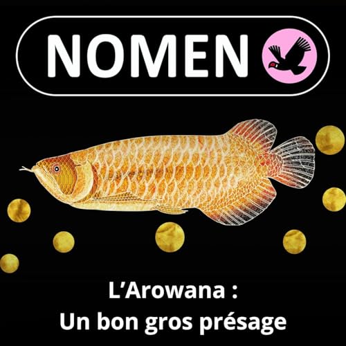 『BEST OF D'ÉTÉ #26 : L'Arowana, un "poisson-dragon" porte-bonheur et "feng shui"』のカバーアート