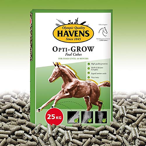 Havens Fohlen-Aufzucht, 25 kg