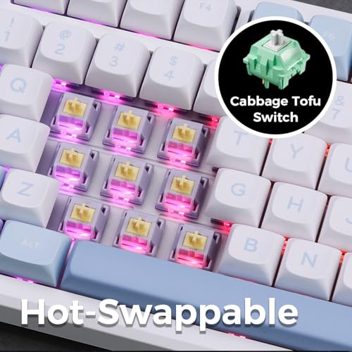 Image of MCHOSE G98 Wireless Mechanical Keyboard, 98 Keys, Gasket Mounted, Five Layers Dampening, RGB Backlit, 2.4GHz /BT /Wired Tri-Mode, Hot Swappable (Blue, Cabbage Tofu Switch)