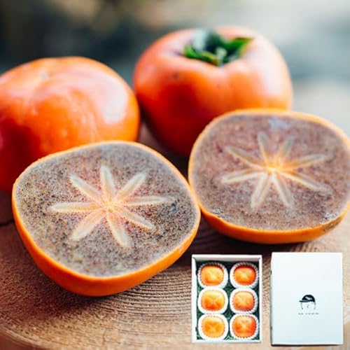 紀ノ川 柿 約2kg 6個入り 化粧箱 贈答用 和歌山県産 糖度保証・赤道面16度以上 希少品種 果物 フルーツ プレゼント 甘い柿 ギフト 秋果物【発送期間:10/20〜10/28、11/8〜11/20前後】お歳暮 冬ギフト