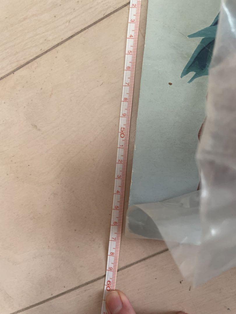 Amazon.co.jp: アントワネット ザ シンパシー ガール 泣き虫