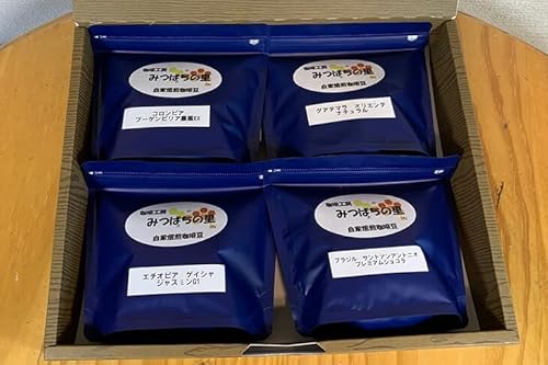 自家焙煎 珈琲豆 100g×4種類 豆 | 厳選 コーヒー ブラジル コロンビア グアテマラ エチオピア