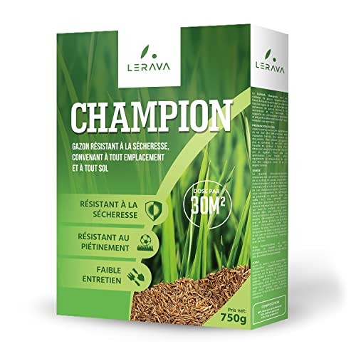 LERAVA CHAMPION - gazon a semer résistant à la sécheresse - gazon regarnissage pauvre en eau - praticable - convient à tous les endroits et à tous les types de sol - 30 m²