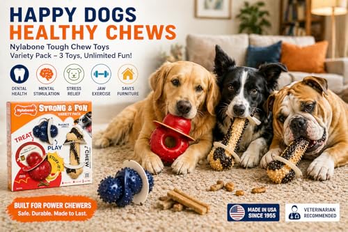 Jouets pour chiens à mâcher Nylabone en caoutchouc haute performance - 8