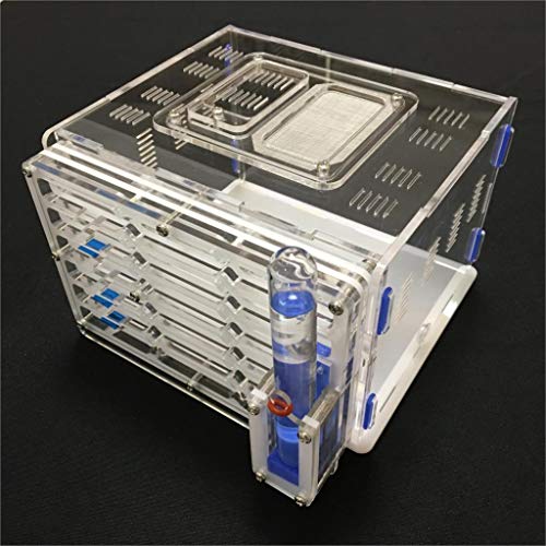 éducatif pour humidité avec Aire de nid pour Fourmis, fourmilière Acrylique, Insectes Fourmis Villa Nouvelle Animal de Compagnie Manie avancée pour Fourmis domestiques Nouvelle Conception (White) Cover