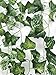 See Greeen 98 feet (14 Pack) Artificial Garlands for Baby Shower, Birthday, Classroom, Table Runner and Safari Jungle Theme Party