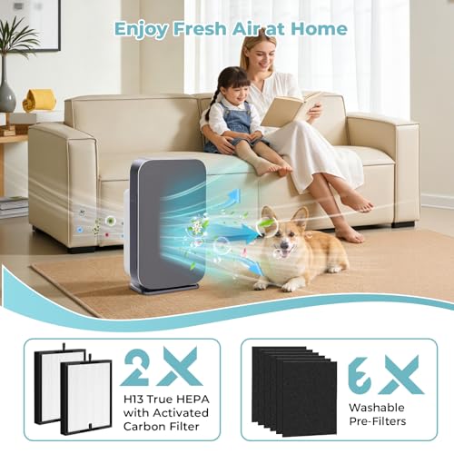Image of 45i Replacement Filter for Alen Breathesmart Flex Bh400 45i Air Purifier | H13 Grade True HEPA Fresh Filter B4-Pure / Fl40, 2 He-pa+6 Carbon Filter