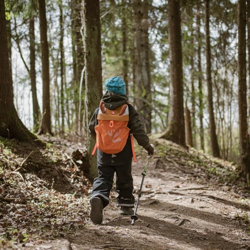 Bastones de senderismo infantiles ultraligeros para evitar caídas 3
