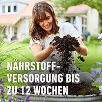 COMPO SANA Grünpflanzenerde und Palmenerde mit 12 Wochen Dünger für alle Zimmerpflanzen, Balkonpflanzen, Palmen und Farne, Kultursubstrat, 5 Liter, Braun – Ansicht 2