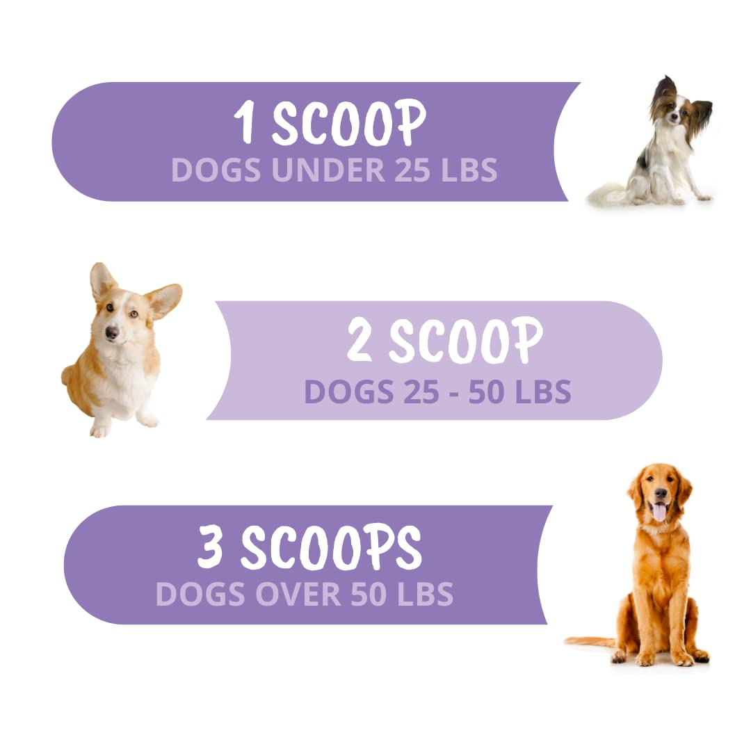 Under The Weather Calming Powder for Dogs | Vet Formulated All-Natural Calming Supplement for Dogs | Help Reduce Stress & Anxiety for Dogs | 120 Servings - image 8