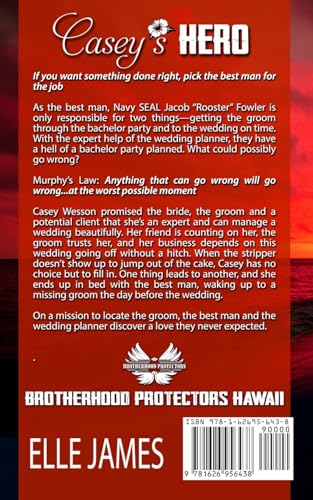 Casey's Hero (Brotherhood Protectors Hawaii) image 4