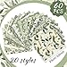 Ganeen 60 Pcs 10 x 10 Inch Sage Green Floral Quilting Fabric Squares Vintage Greenery Fat Patchwork Precut Strips Retro Eucalyptus Printed Fabric Bundles for Holiday DIY Craft Sewing Quilt Material