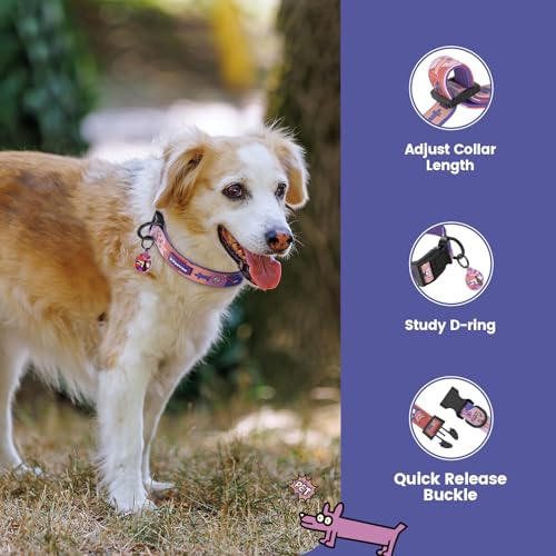 PawView Dog Collar & Lead Set including QR Code ID Tag- Adjustable, Waterproof & Comfortable -for Small Medium, Large Dogs(S - Image 3