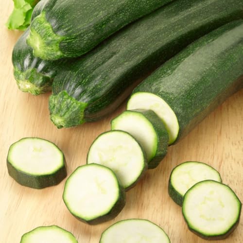 Courgette Seeds All Green Bush Heavy Cropping Dark-Skinned Baby Courgettes Ideal for Summer Harvesting & Cooking Whole - 1x Seed Packet by Thompson & Morgan