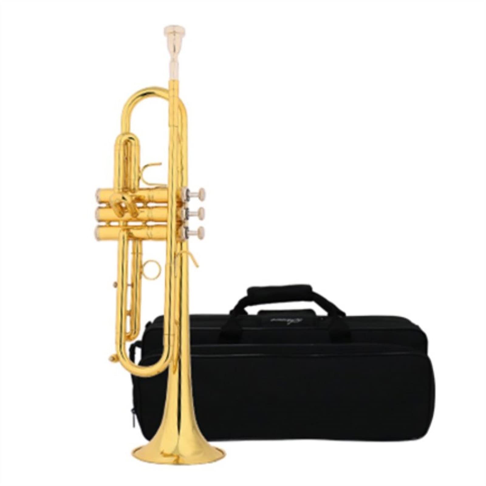 Amazon.co.jp: 管楽器アンサンブルを演奏する等級試験に適したマウス