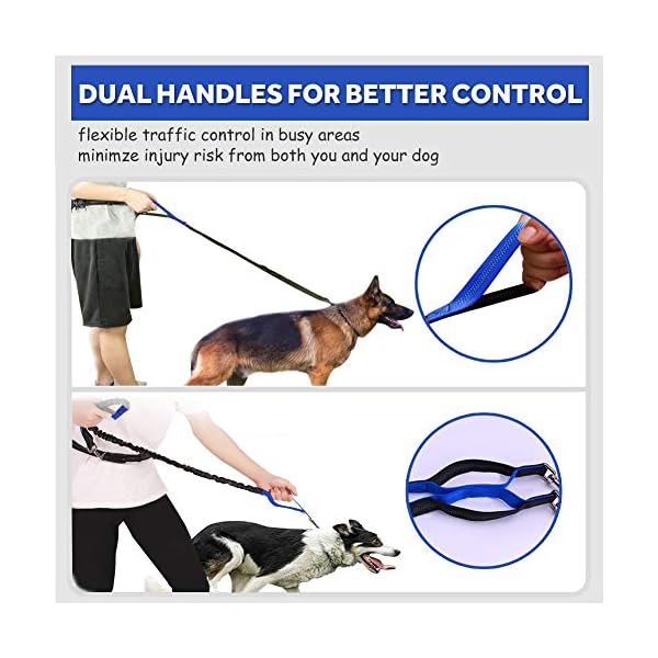 Hands Free Dog Leash for Walking Buy Online