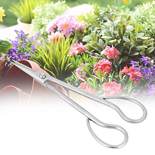 A sixx Edelstahlschere, Bonsai-Schere Bonsai-Scher-Langgriffschere 185 mm Japanisches Bonsai-Gartenwerkzeug-Starter-Kit Tian Bonsai Werkzeuge - Image 4