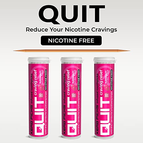 Image of Xero Picks Quit Infused Flavored Toothpicks to Help Quit Smoking (Pack of 3), Bubble Gum) Non-GMO Kosher Vegan