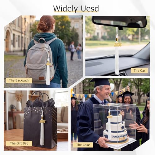 Image of GraduationMall Single&Multiple Color Graduation Tassel with 2026 Year Charm 9 inch