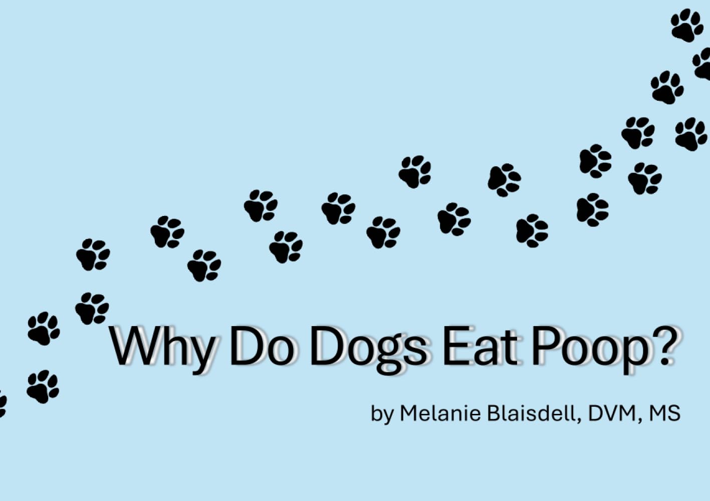 Why Do Dogs Eat Poop?