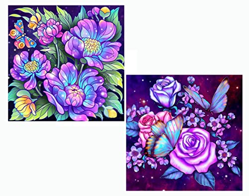 SxLingerie Lot de 2 kits de peinture diamant 5D pour adultes, décoration murale, 30 x 30 cm, transparent Cover