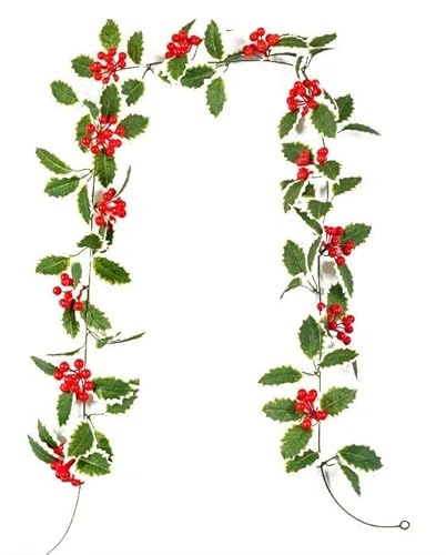 NX}X  K[h 2.0m NX}X[ NX}X[X [ fR[V Ki̎肷  hA  p[eB[ K[f ̗t[ NX}XpiiAj