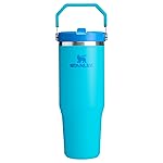 STANLEY IceFlow 2.0 Flip Straw Tumbler with Handle 30 oz | Twist On Lid and Flip Up Straw | Leak Resistant Water Bottle | Insulated Stainless Steel | BPA-Free | Splash