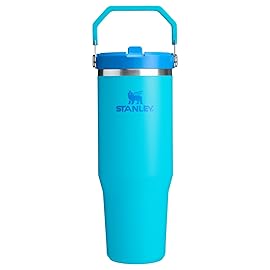 STANLEY IceFlow 2.0 Flip Straw Tumbler with Handle..