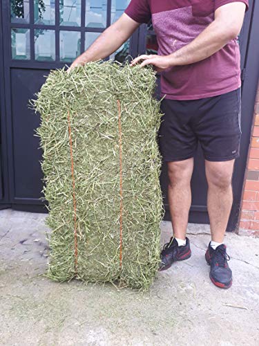 Cremas Y Lociones, Video On Demand Imagen adicional