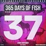 zebra figura  Zebra Huntsmen (feat. Figure 8) [Explicit]