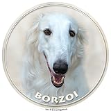 barsoi welpen Aufkleber für Autoscheiben und andere glatten Oberflächen. Ist auf die Aussenseite zum aufkleben, einseitig.