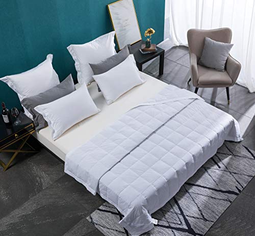 WarmKiss Luxurious Down Blanket / Comforter Summer, Hypoallergenic 600 Fill Power Light Weight Duvet Insert, 100% Cotton Downproof Brushed Shell for Summer (White,Queen,13OZ)