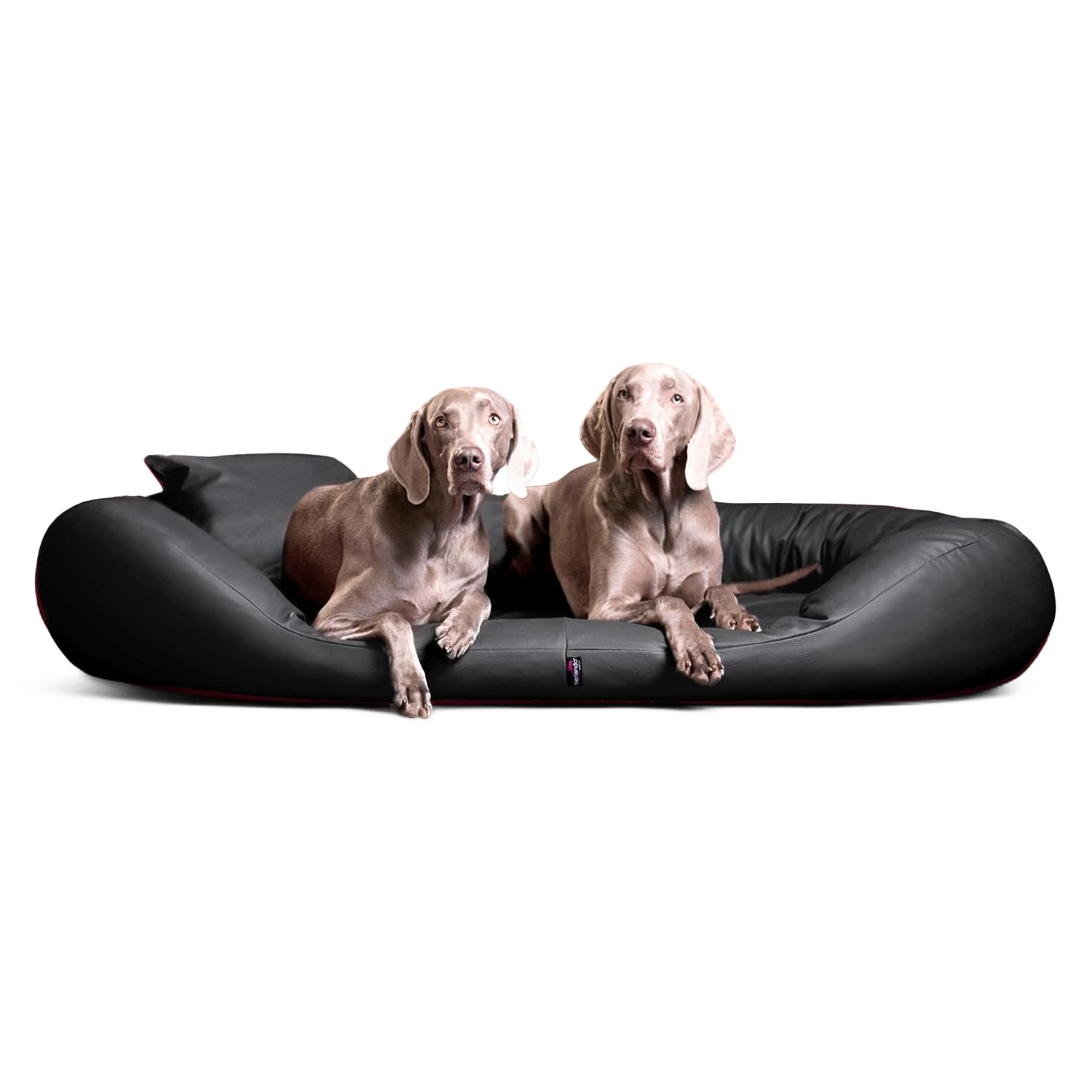 tierlando® Orthopädisches Hundebett Sammy Easy CLEAN mit viscoelastischer Matratze und hohem Rand aus Kunstleder für gelenkschonenden Schlaf und höchsten Komfort Größe: 170x110cm | Farbe: 02 Graphit