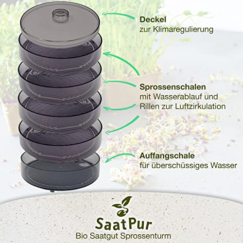 Foto von SaatPur® Keimsprossenbox Set 4 mit Vier Etagen als Sprossen Keimgerät: Sprossen Anzucht sowie Microgreens Anzuchtschalen. Keimbox, Keimschale, Keimschachtel, Sprossenbox, Sprossenhaus, Keimgerät