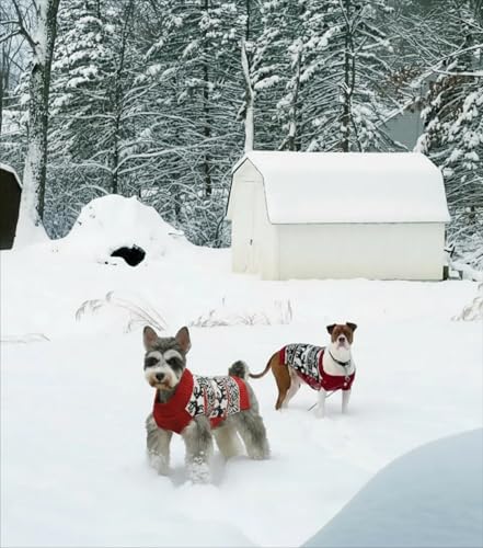 Vêtements pour chiens chaton Lanyar Chien Renne rouge vêtement chat Medium